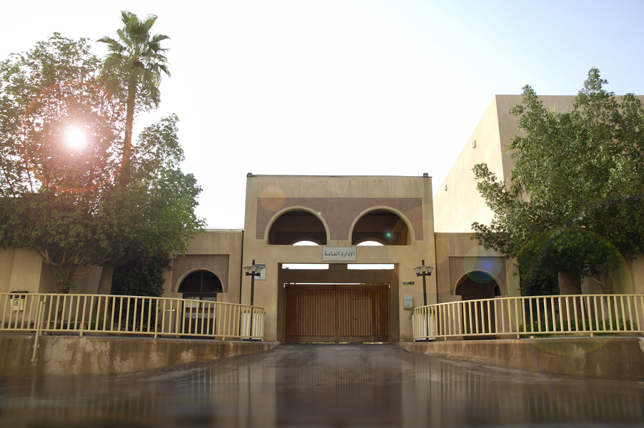 Video Image